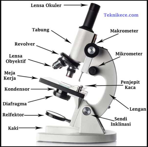Bagian bagian Mikroskop Beserta Fungsi dan Penjelasannya