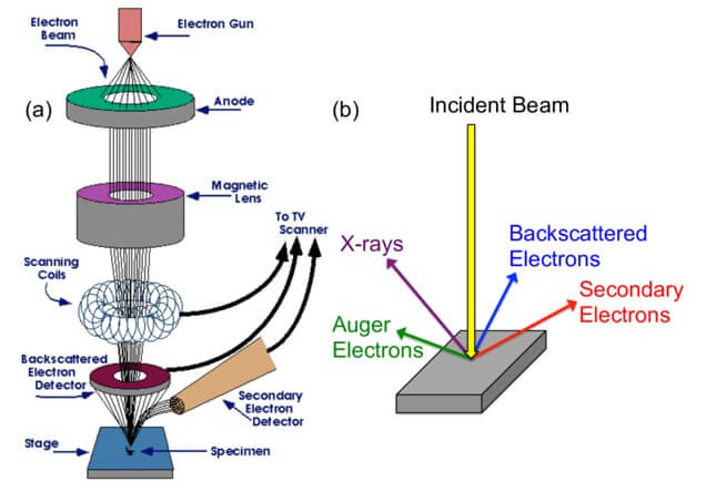 Prinsip kerja SEM EDX Prinsip kerja SEM EDX