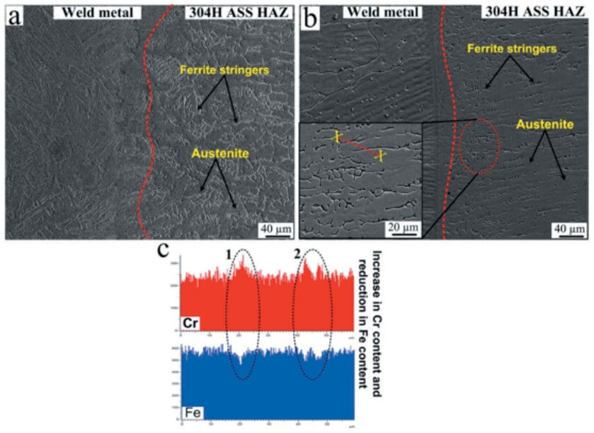 SEM Micrographs dan analisis Line EDS pada Weld Metal dan 304H ASS HAZ SEM Micrographs dan analisis Line EDS pada Weld Metal dan 304H ASS HAZ